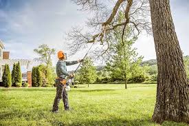 Reliable Homer Glen, IL Tree Care Solutions